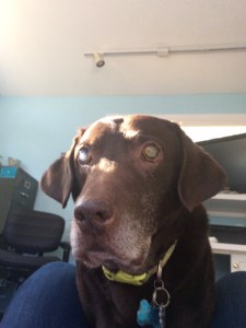 Dale doing the downward dog!