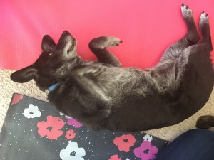 Maggie attempts "Happy Baby"